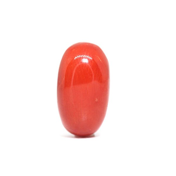 Red Coral - 7.10Ct.