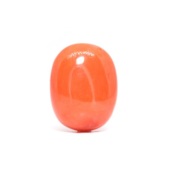 Red Coral - 10.92Ct.