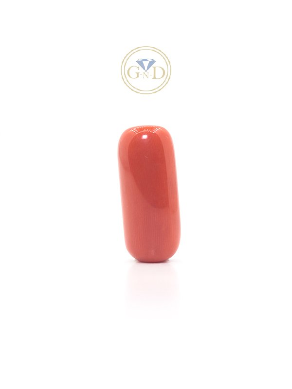 Red Coral - 12.69 Carat ( 13.95 Ratti )