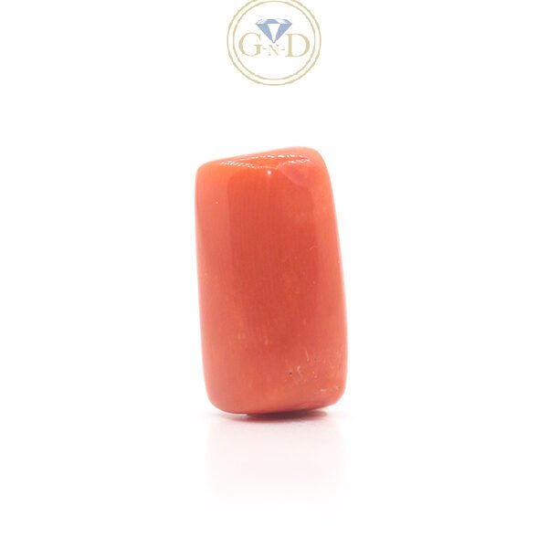 Red Coral - 13.60 Carat ( 14.96 Ratti )