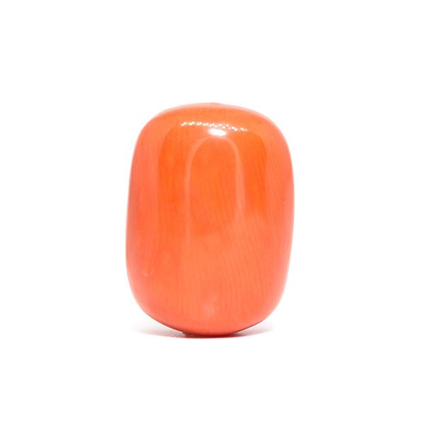 Red Coral - 16.46Ct.