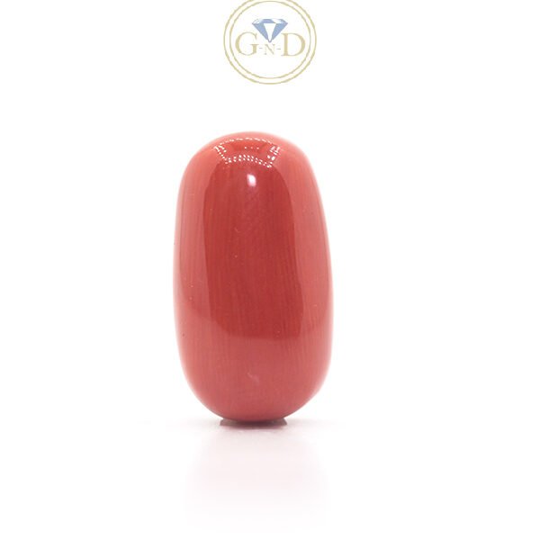 Red Coral - 16.75 Carat ( 18.42 Ratti )