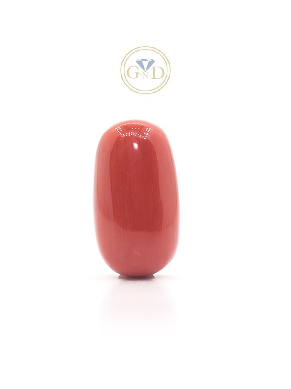 Red Coral - 16.75 Carat ( 18.42 Ratti )