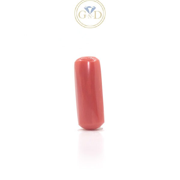 Red Coral - 3.70 Carat ( 4.07 Ratti )