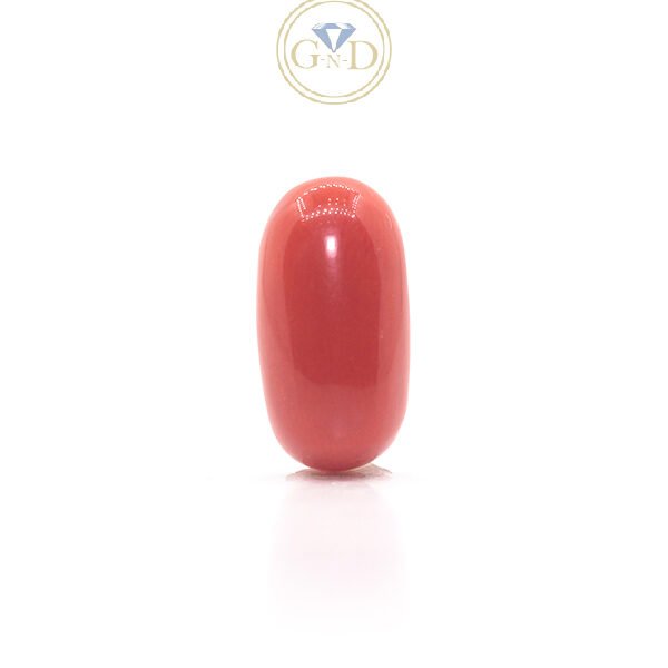 Red Coral - 5.57 Carat ( 6.06 Ratti )