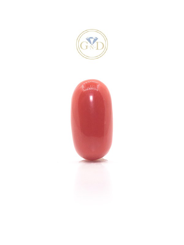 Red Coral - 5.57 Carat ( 6.06 Ratti )