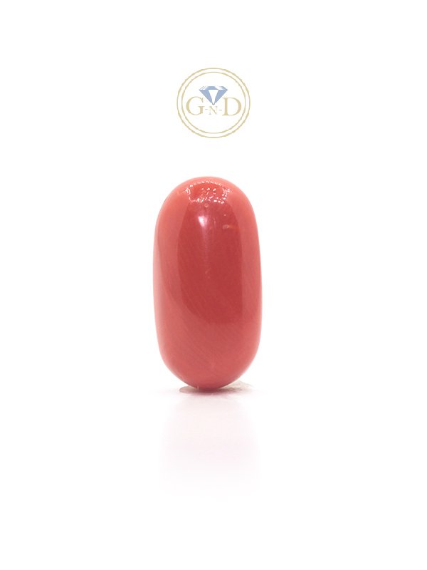 Red Coral - 5.67 Carat ( 6.23 Ratti )