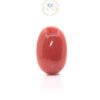 Red Coral - 8.55 Carat ( 9.40 Ratti )