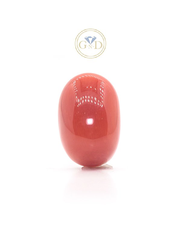 Red Coral - 9.24 Carat ( 10.16 Ratti )