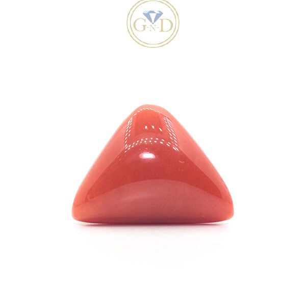 Red Coral - 12.16 Carat ( 13.37 Ratti )