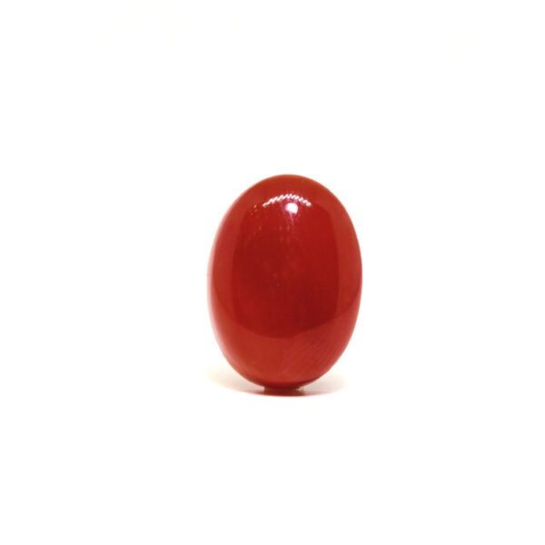 Japanese Red Coral - 6.19Ct.