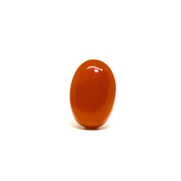 Red Coral - 7.21Ct.