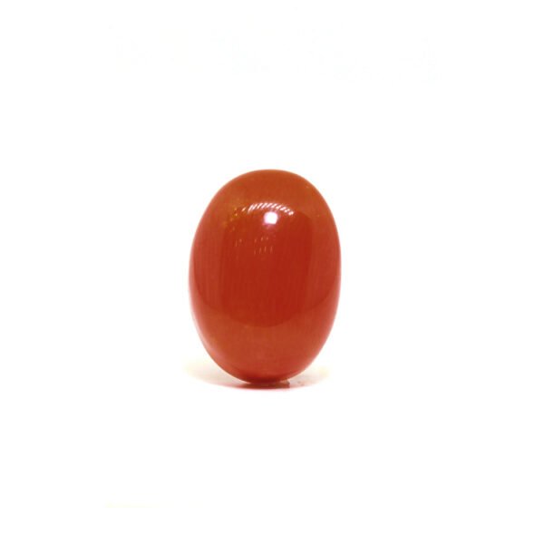 Red Coral - 7.38Ct.