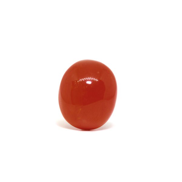 Red Coral - 8.85Ct.