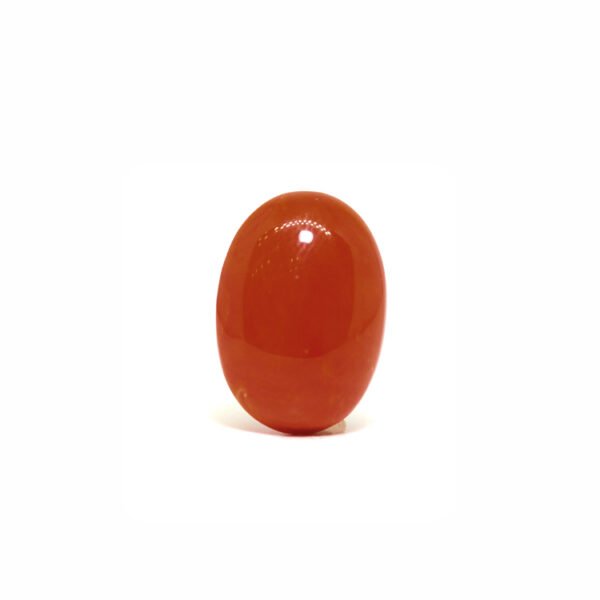 Red Coral - 9.14Ct.