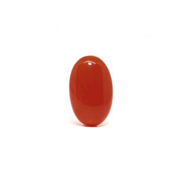 Red Coral - 9.35Ct.