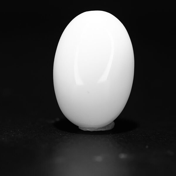 JAPANESE WHITE CORAL-8.24CT