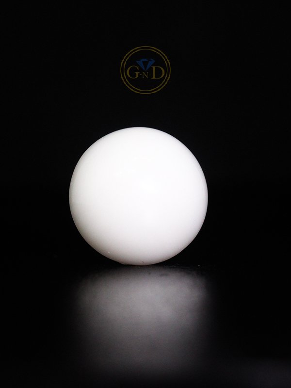Japanese white coral
