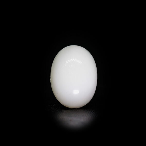 Japanese White Coral (मूंगा)
