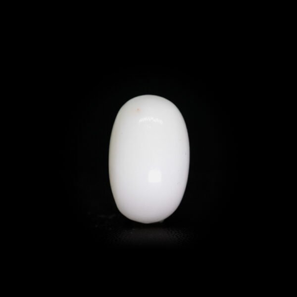 Japanese White Coral - 10.14Ct