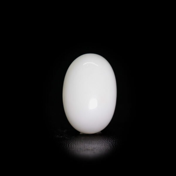 Japanese White Coral - 10.19 Ct