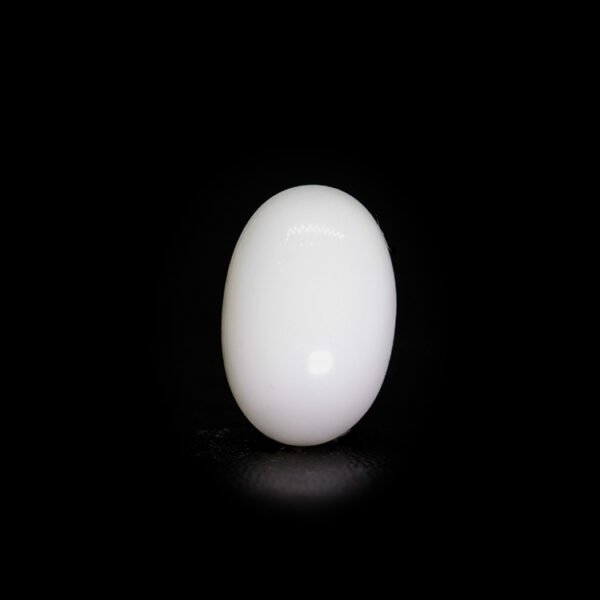 Japanese White Coral - 10.69Ct