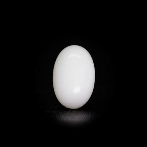 Japanese White Coral - 7.64 Ct