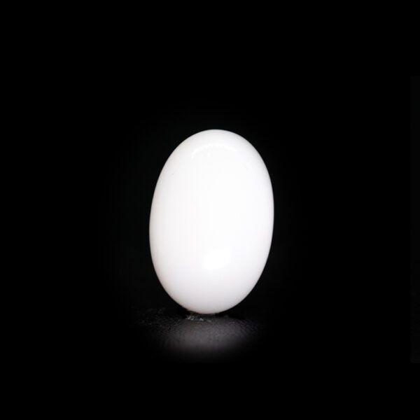Japanese White Coral - 8.59Ct