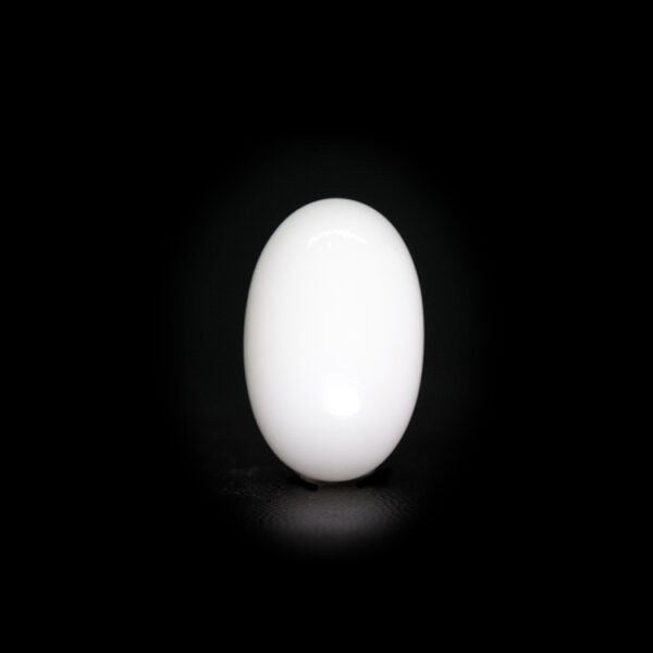 Japanese White Coral - 8.60Ct.