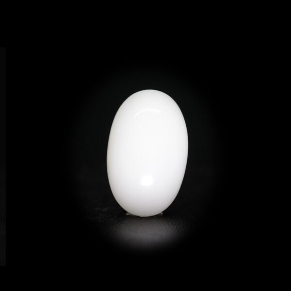Japanese White Coral - 8.79 Ct