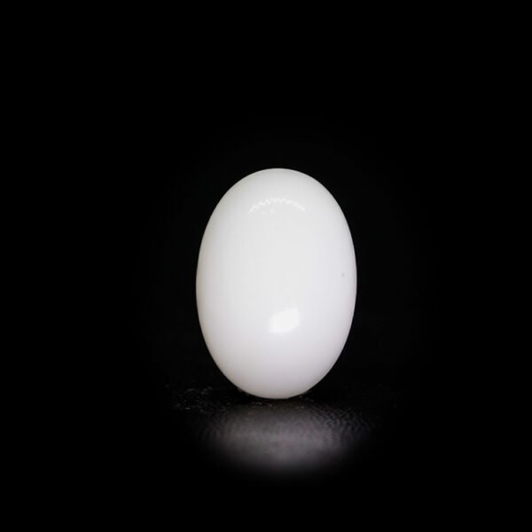 Japanese White Coral - 8.81Ct