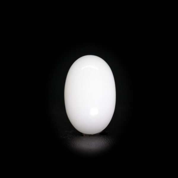 Japanese White Coral -9.12 Ct