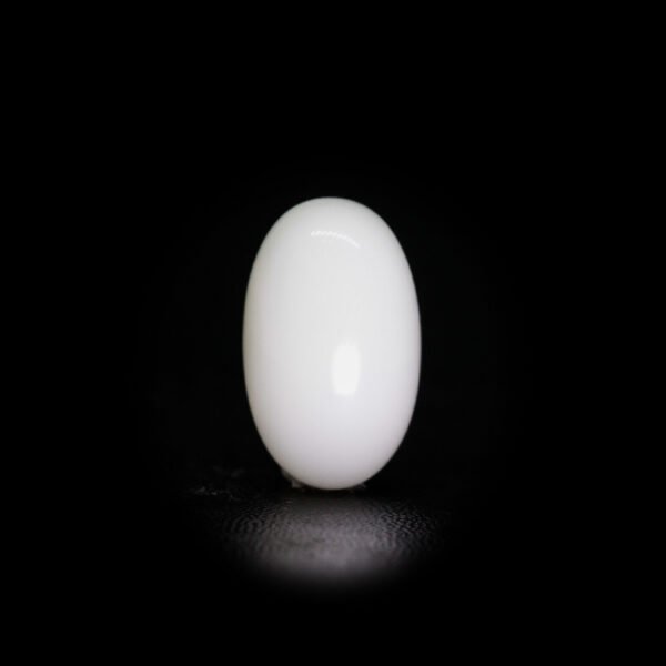 Japanese White Coral - 9.20 Ct
