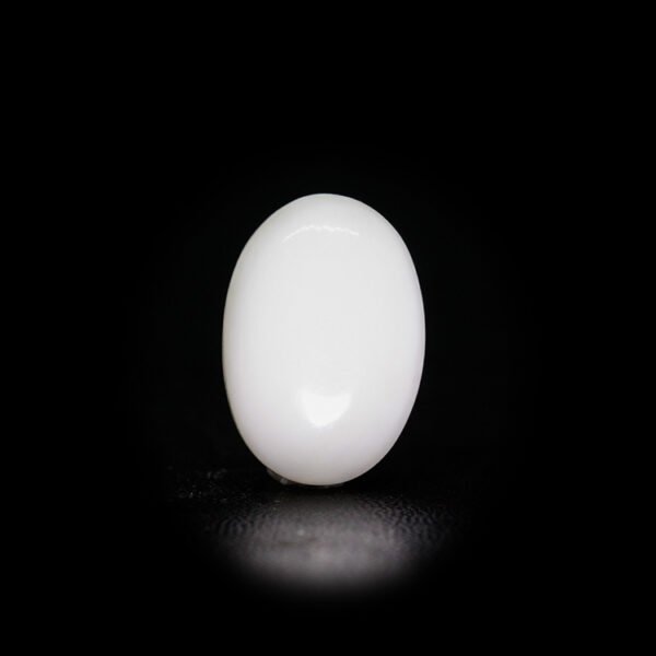 Japanese White Coral - 9.32Ct