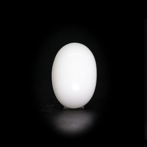 Japanese White Coral - 9.49 Ct