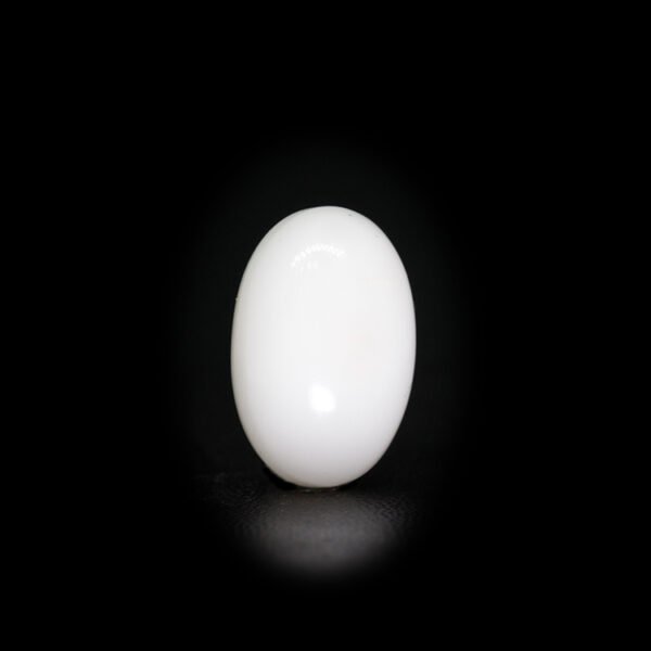 Japanese White Coral - 9.80Ct