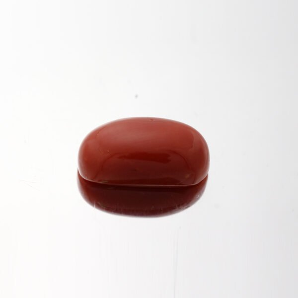 Red Coral - 7.1ct