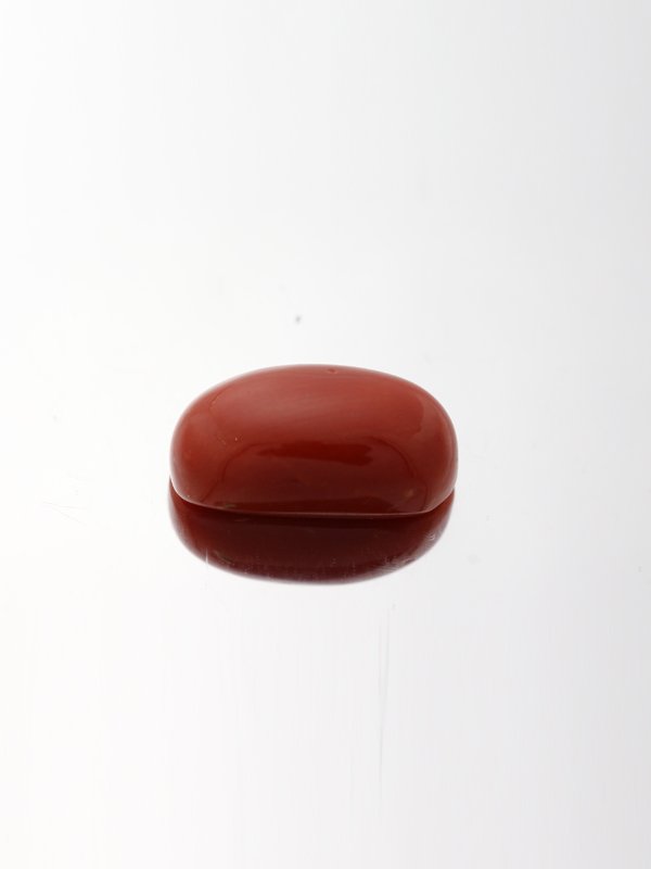 Red Coral - 7.1ct