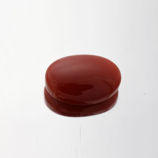 Red Coral - 9.1ct